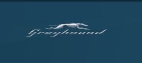 Greyhound logo